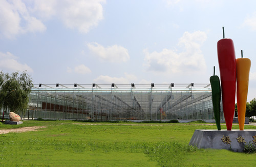 大家好，我是辣小妹，初次見(jiàn)面，請(qǐng)多關(guān)照