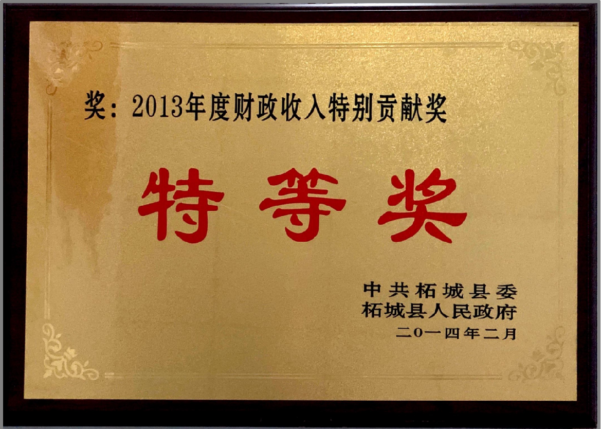 2013年度財(cái)政收入特別貢獻(xiàn)獎(jiǎng)特等獎(jiǎng)