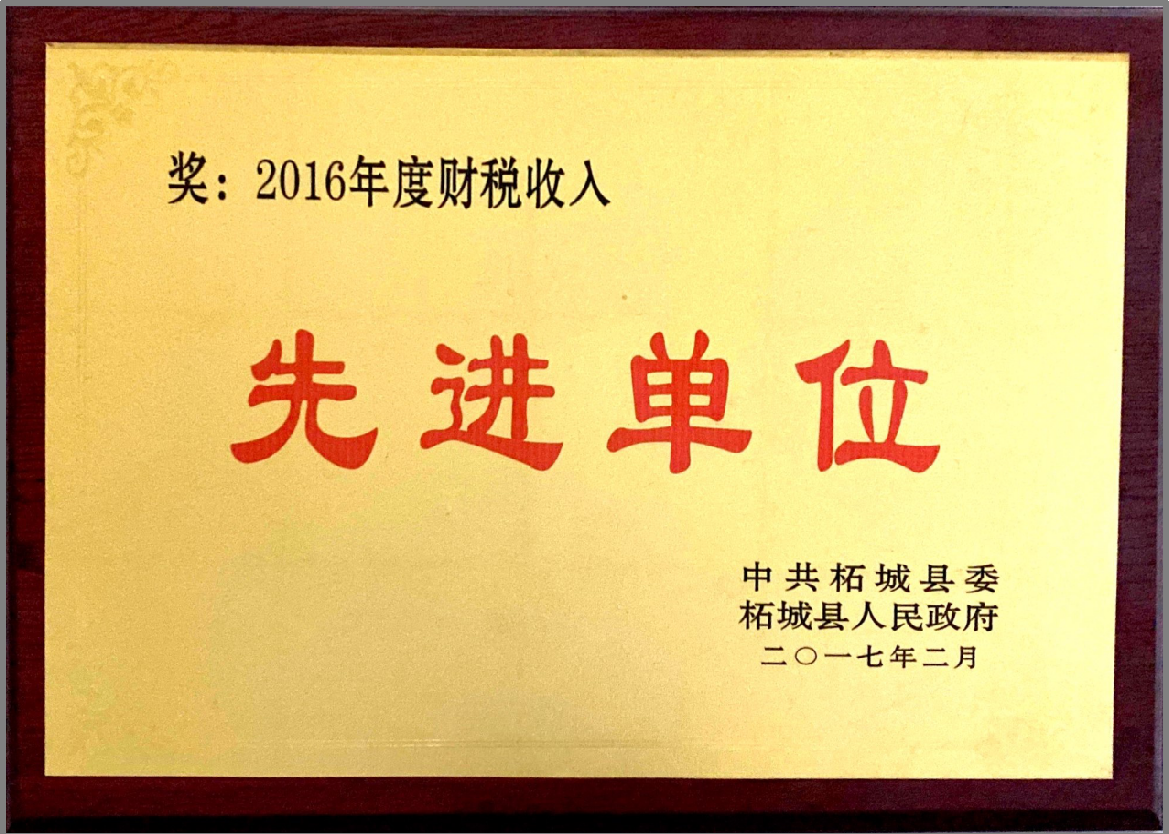 2016年度財(cái)稅收入先進(jìn)單位