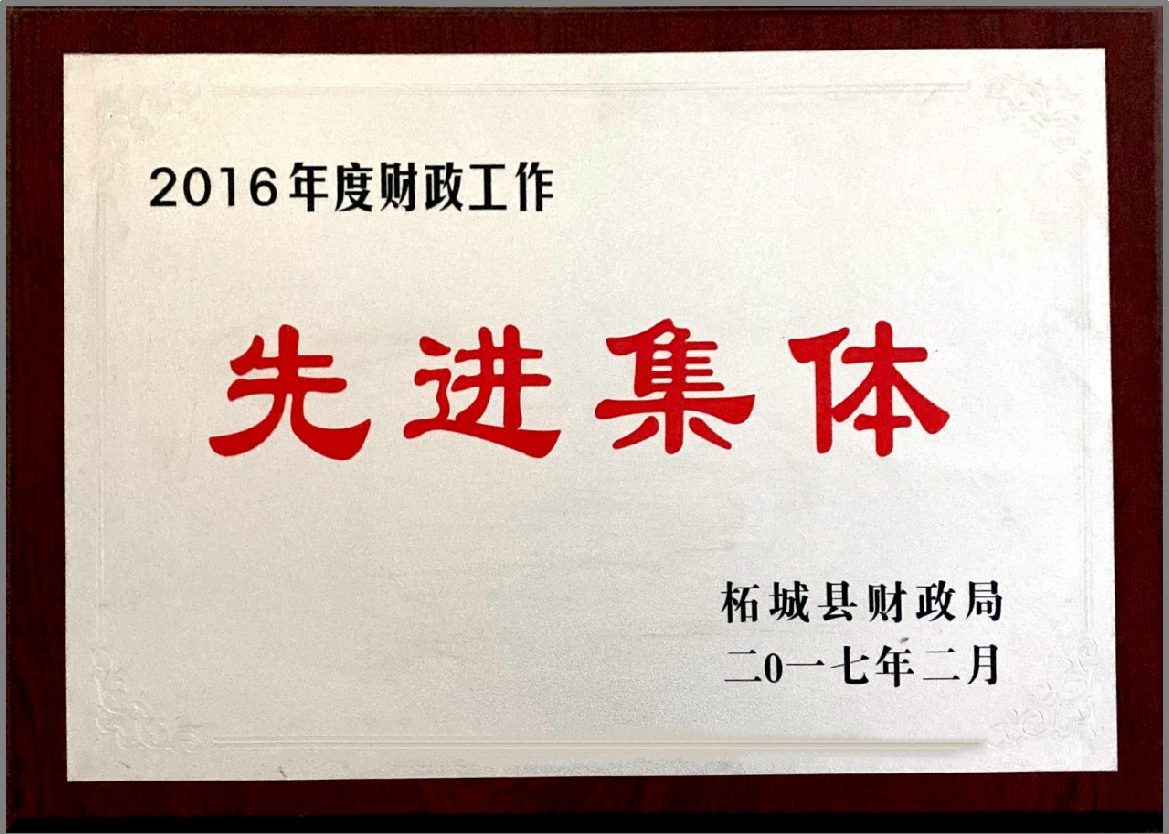 2016年度財(cái)政工作先進(jìn)集體