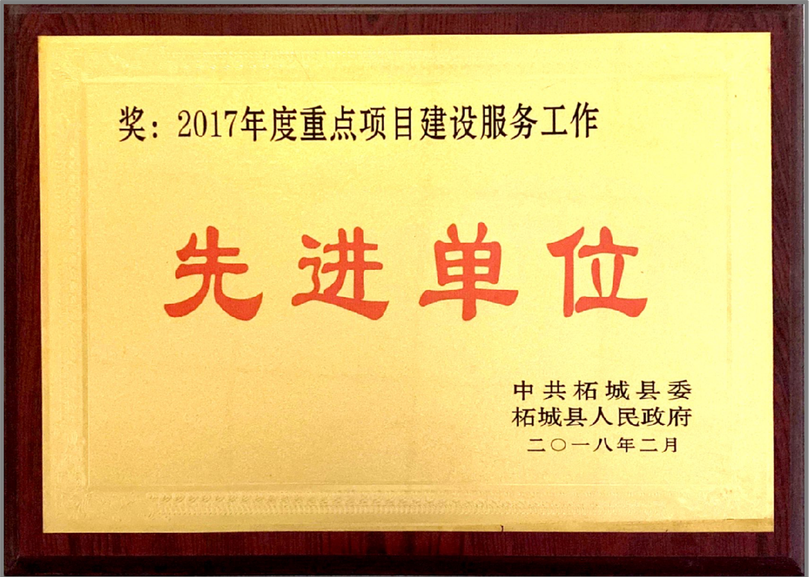 2017年度重點(diǎn)項(xiàng)目建設(shè)服務(wù)工作先進(jìn)單位